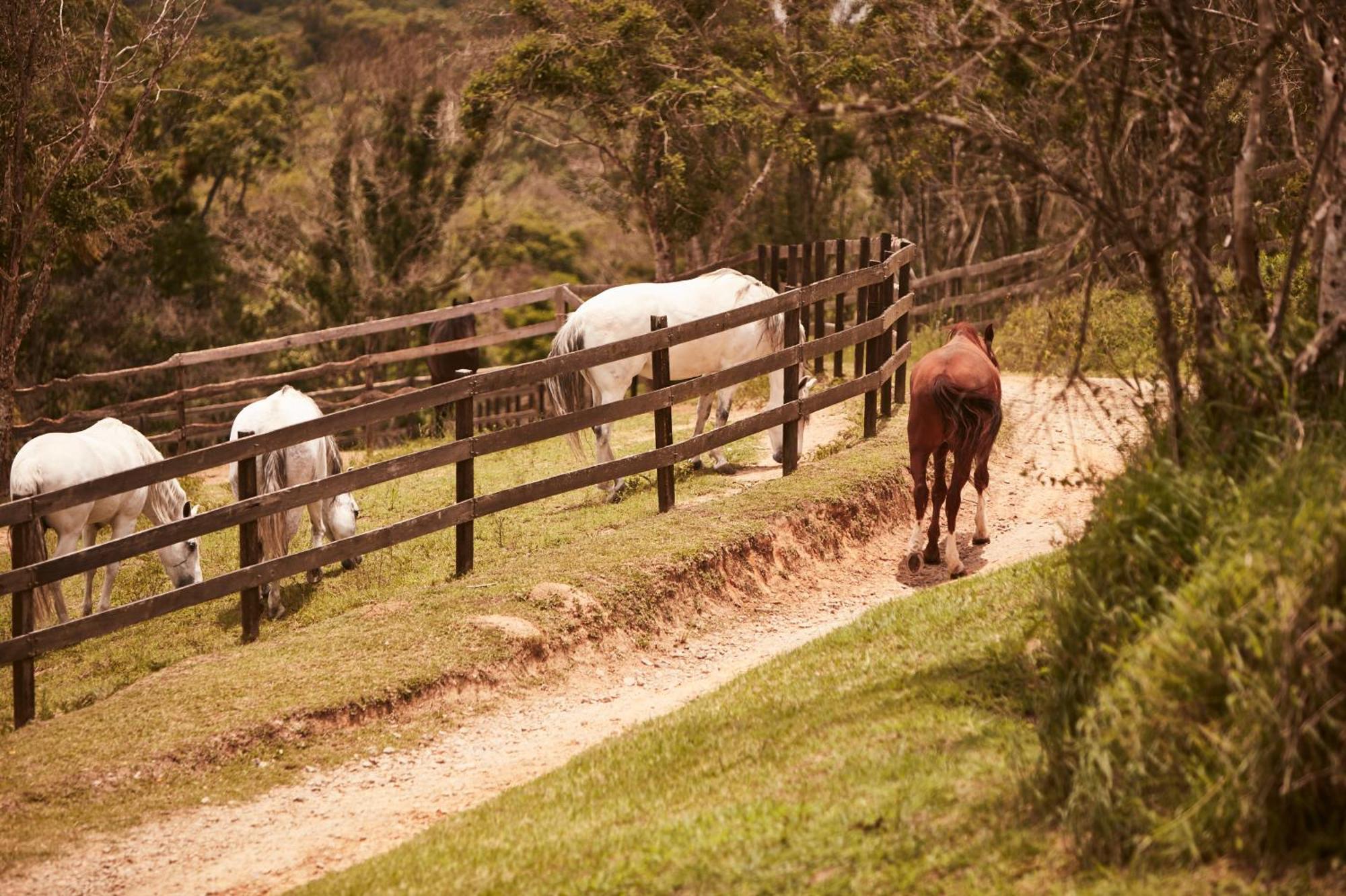 Hotel Fazenda Morros Verdes Ecolodge Ibiúna Екстериор снимка